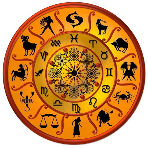 Astrologer And Kundli Service