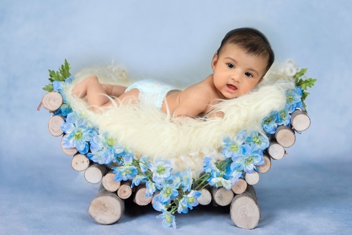 Baby Portfolio Photographer Service