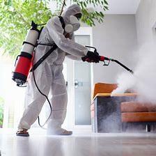 Pest Control Service