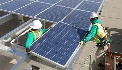 Solar Plant Service