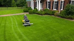 Lawn Care Service