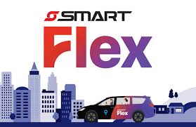 Flex Service